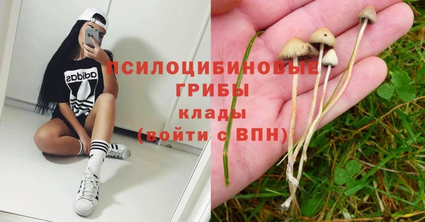 ALPHA PVP Алзамай