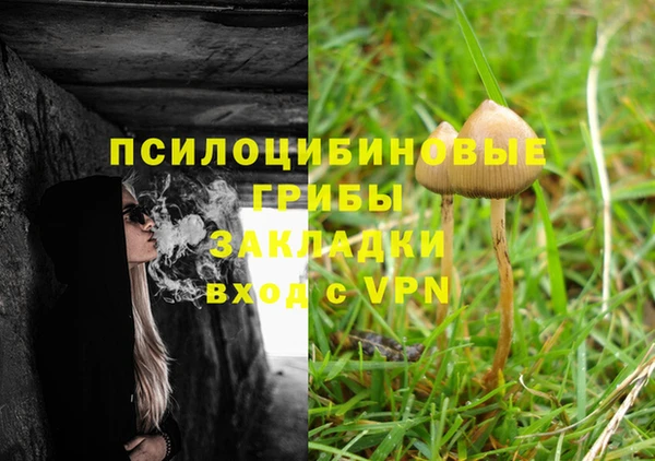 марки nbome Алексеевка